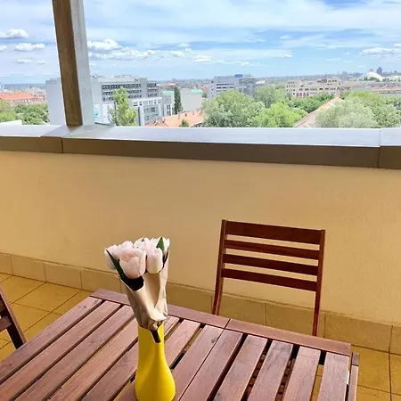 Apartmán Penthouse Young #freeparking